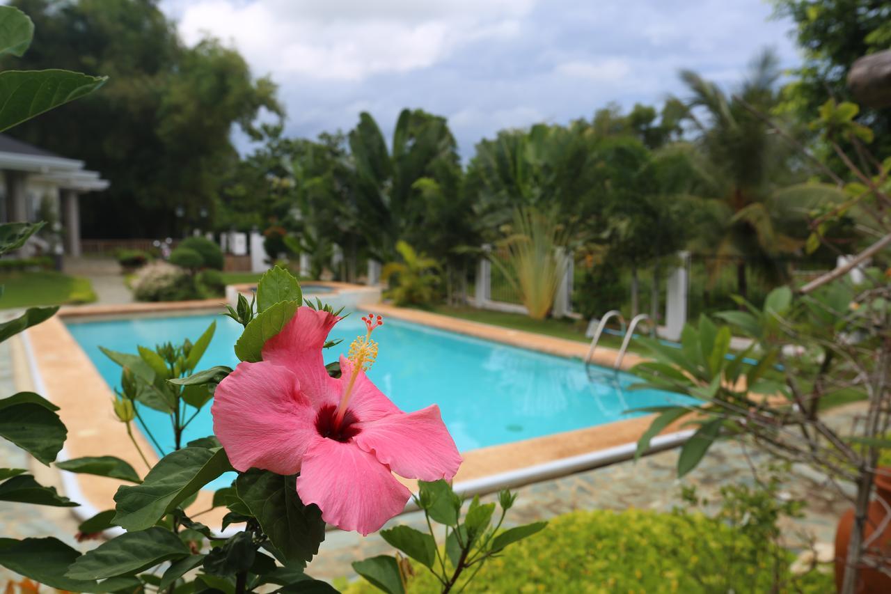 Garden Bungalows Resort Siquijor Exterior photo